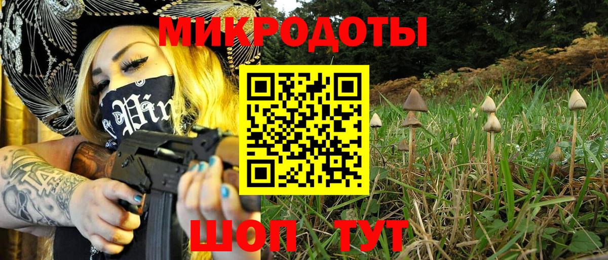 Галлюциногенные грибы Psilocybine cubensis  Вход с VPN  Луга 